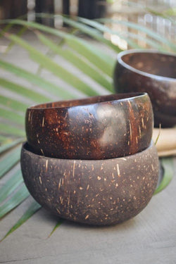 Coconut Bowl ( Pack of 2 ) - Indie Project Store