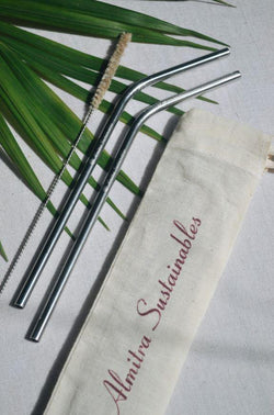 Reusable Stainless Steel Straws ( Bent ) Pack of 2 with Cleaner - Indie Project Store