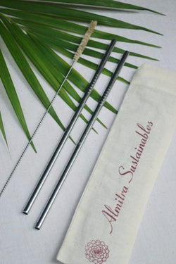 Stainless Steel straw (Straight) Pack of 2 with 1 Cleaner